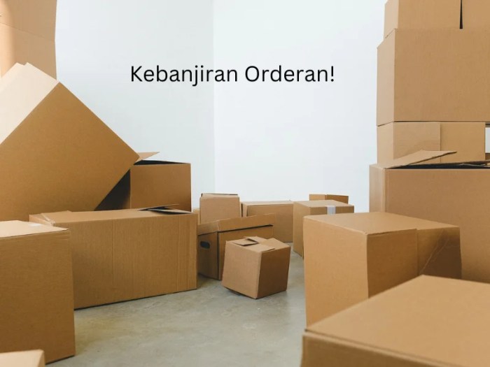 Cara Banjir Orderan di Lazada 2025