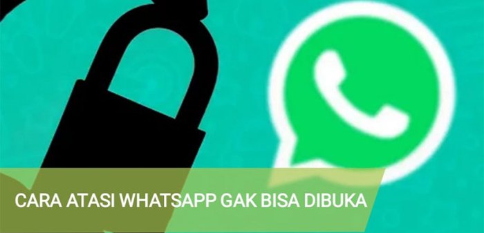 Cara Mengatasi Whatsapp Error di 2025