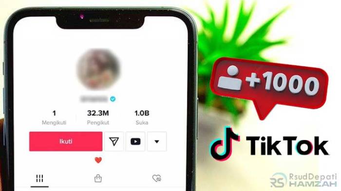 Tips & Trik Viral di TikTok yang Bisa Meningkatkan Followers