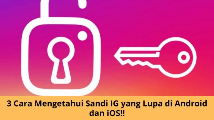 Cara Mengatasi Lupa Kata Sandi Instagram