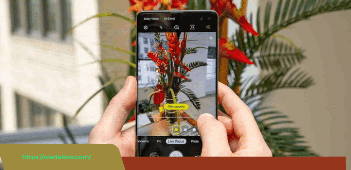 Cara Pakai Mode Pro di Kamera untuk Hasil Lebih Jernih