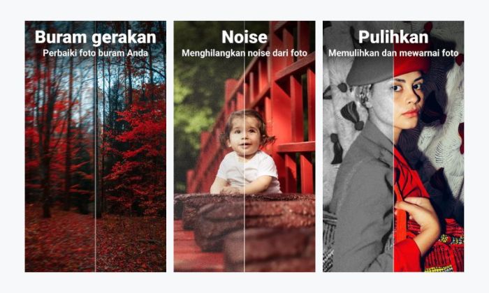 Trik Foto Blur Background Pakai HP Biasa
