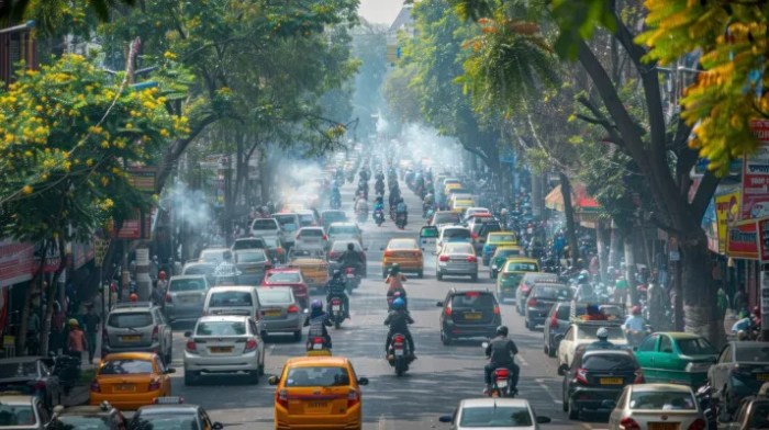 Studi Baru Tentang Hubungan Polusi dan Kesehatan Jantung