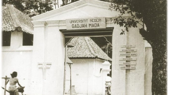 Dulu Kecanduan Game, Kini Mahasiswa UGM Ini Sukses di Akademik