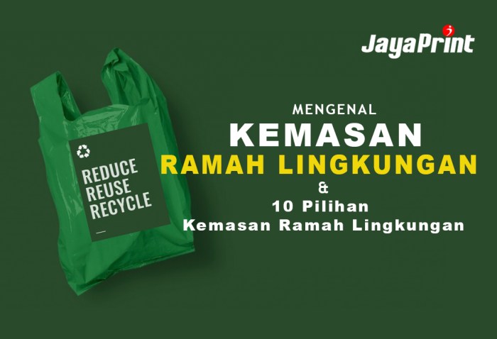 Mobil Ramah Lingkungan: Apa Pilihan Anda?