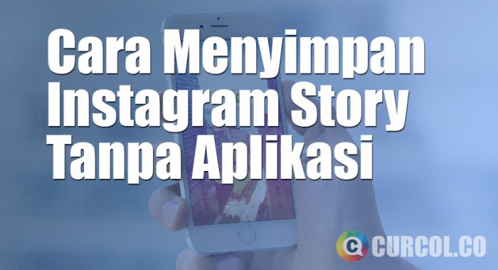Cara Simpan Story Orang Lain Tanpa Aplikasi